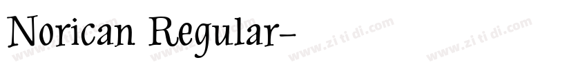 Norican Regular字体转换